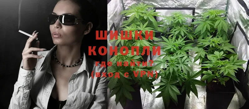 Каннабис White Widow  Белоозёрский 